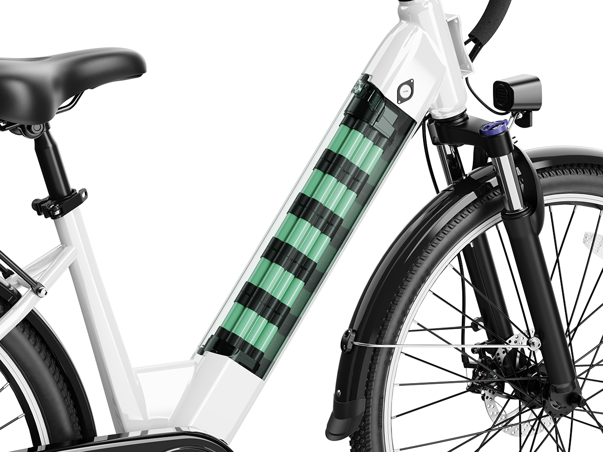 EB5 Roamer Battery Pack