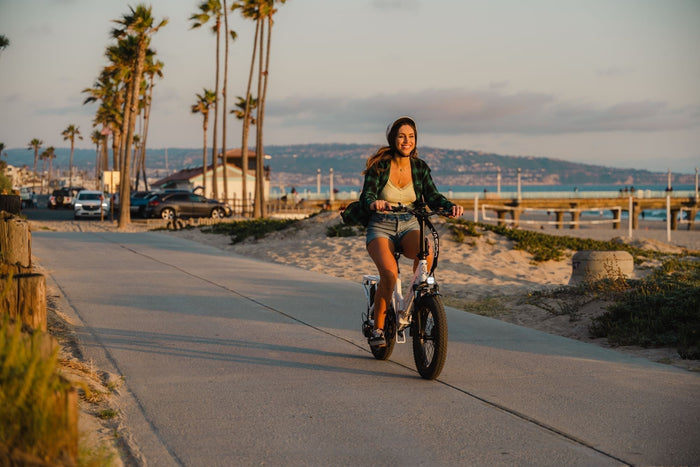 E-bike battery care guide cover image