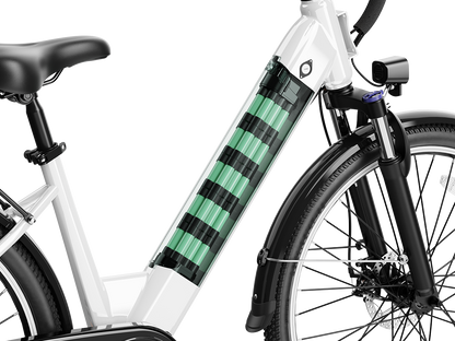 EB5 Roamer Battery Pack