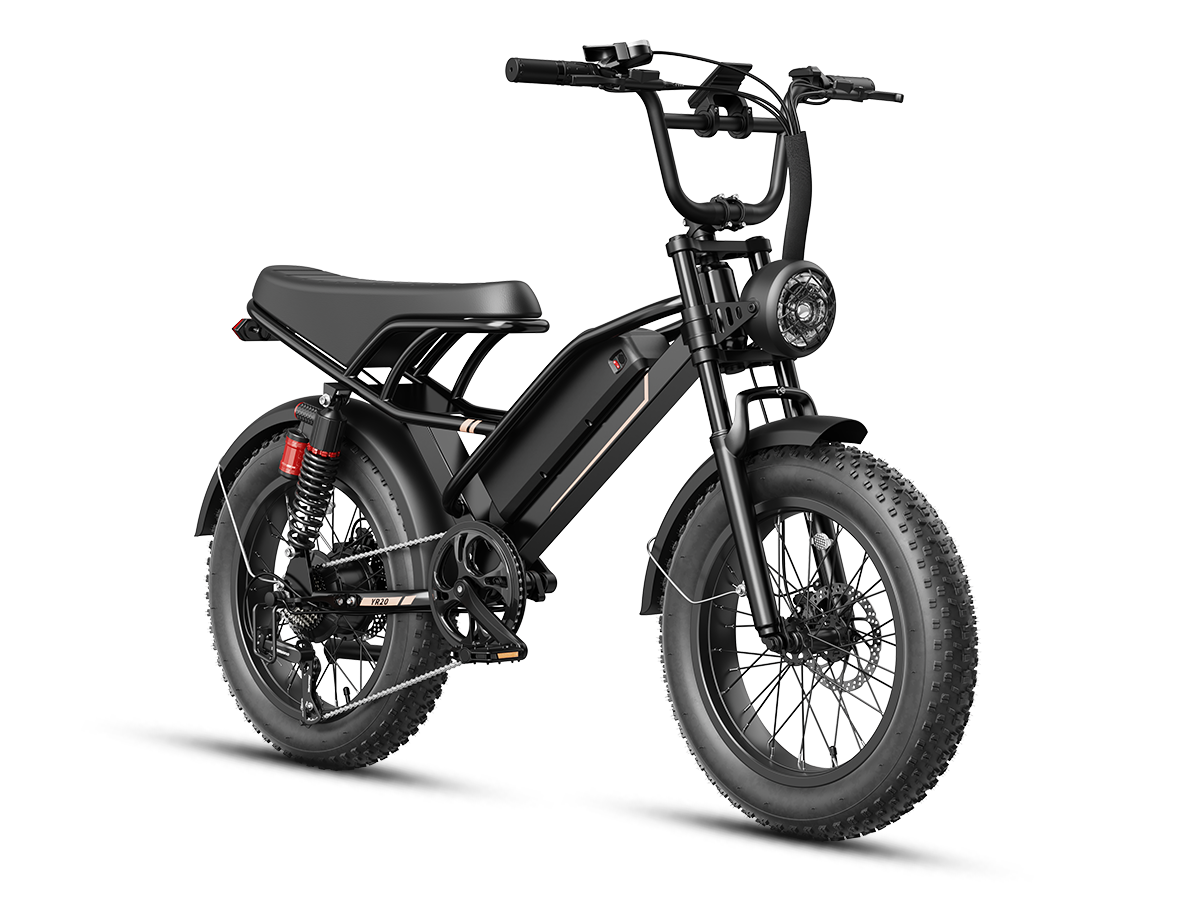 Jasion Ebike Combo Sale YR20*2